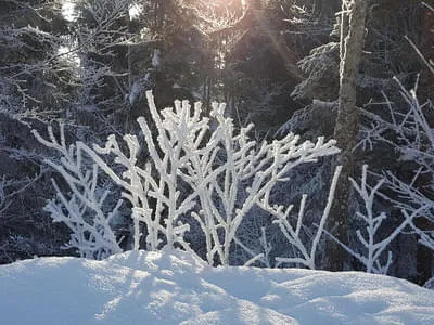 Gästebilder Winter Bild 13